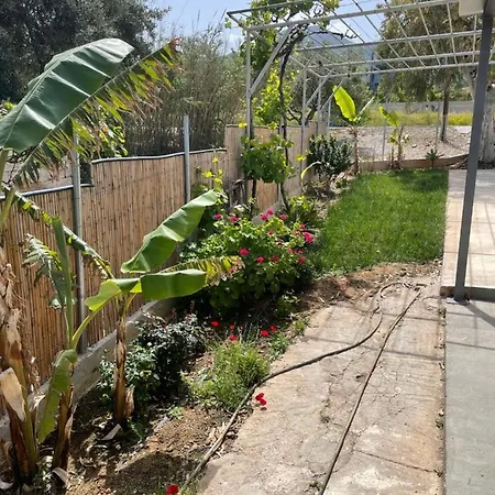 Hétvégi ház Ambelakia