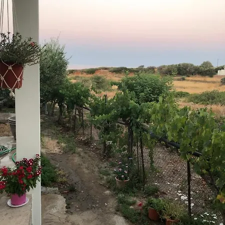 Country house Ambelakia