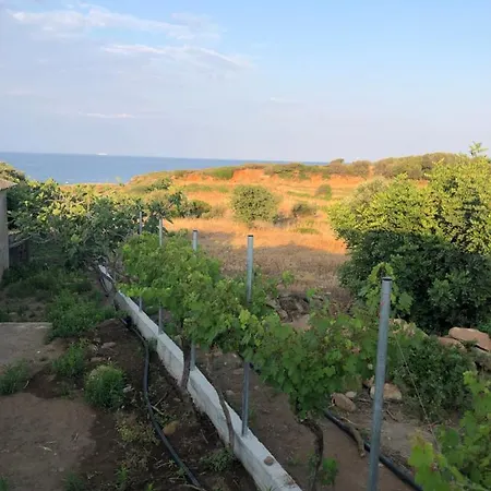 Εξοχικό σπίτι Ambelakia