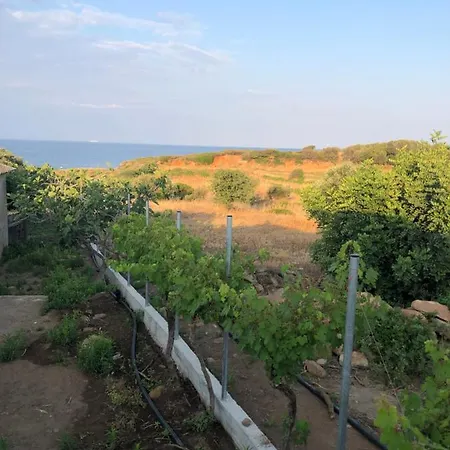 Country house Ambelakia