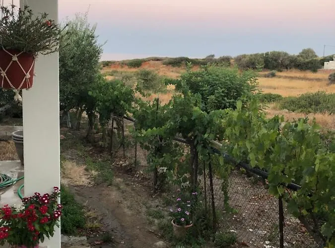 Lantställe Ambelakia